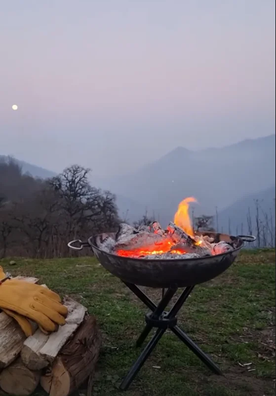 باربیکیو مدل هامون